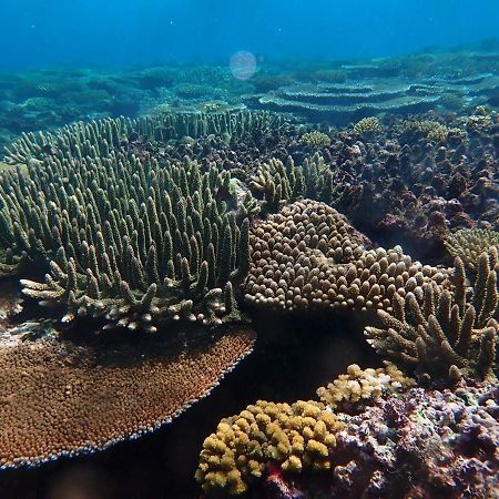 Fiji Lodge Vosa Ni Ua Савусаву Экстерьер фото