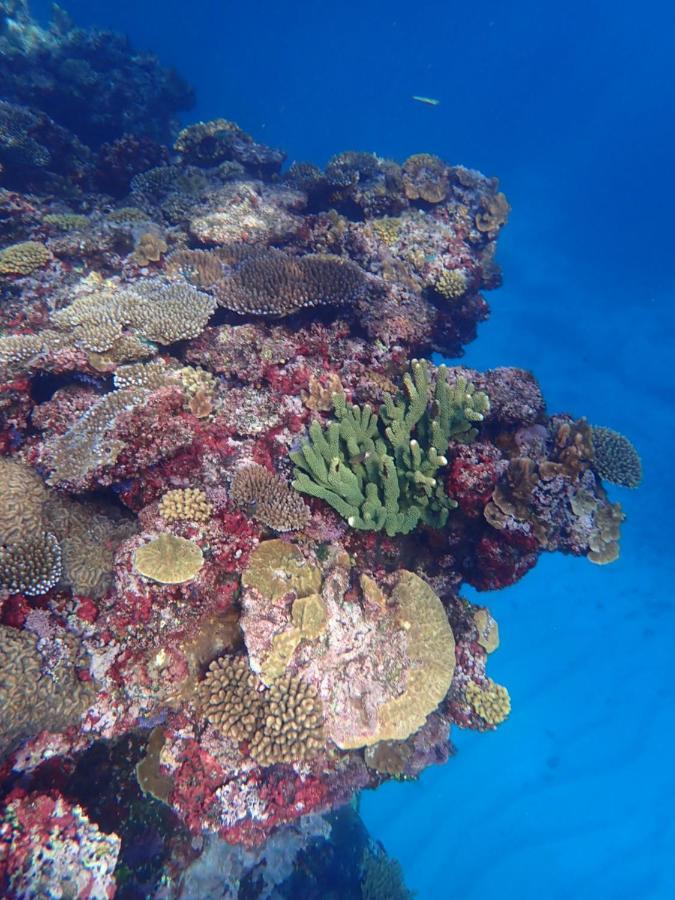 Fiji Lodge Vosa Ni Ua Савусаву Экстерьер фото